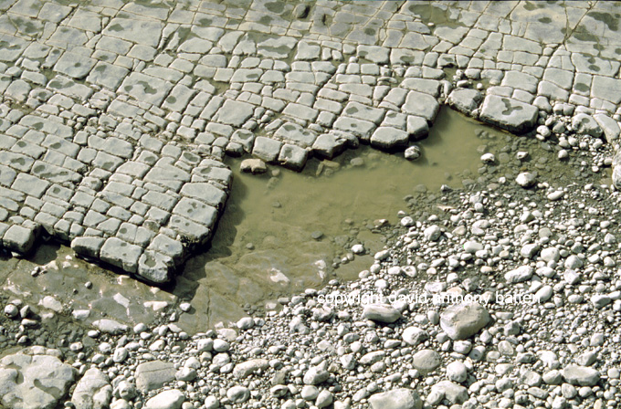 Photos and Photographs of Llantwit Major Beach Wales buy Photographer david anthony batten