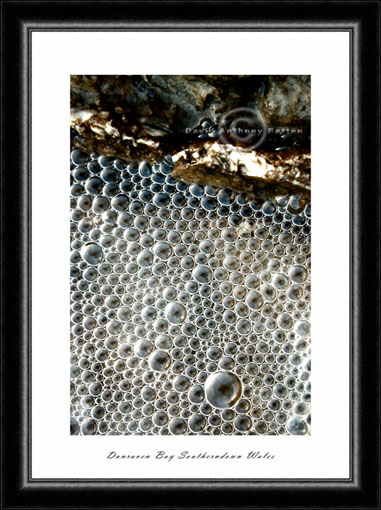 Photograph of Southerndown Bay Dunraven Bay Rock pool